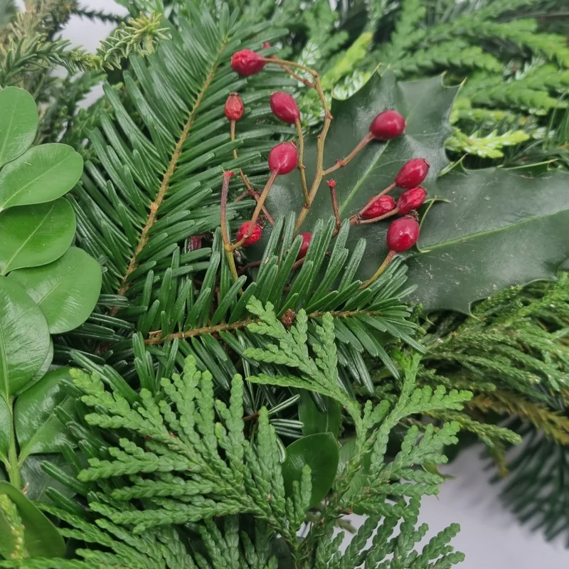 Adventskranz Premium gemischte Zweige 6-8 Sorten grünlich 40 cm