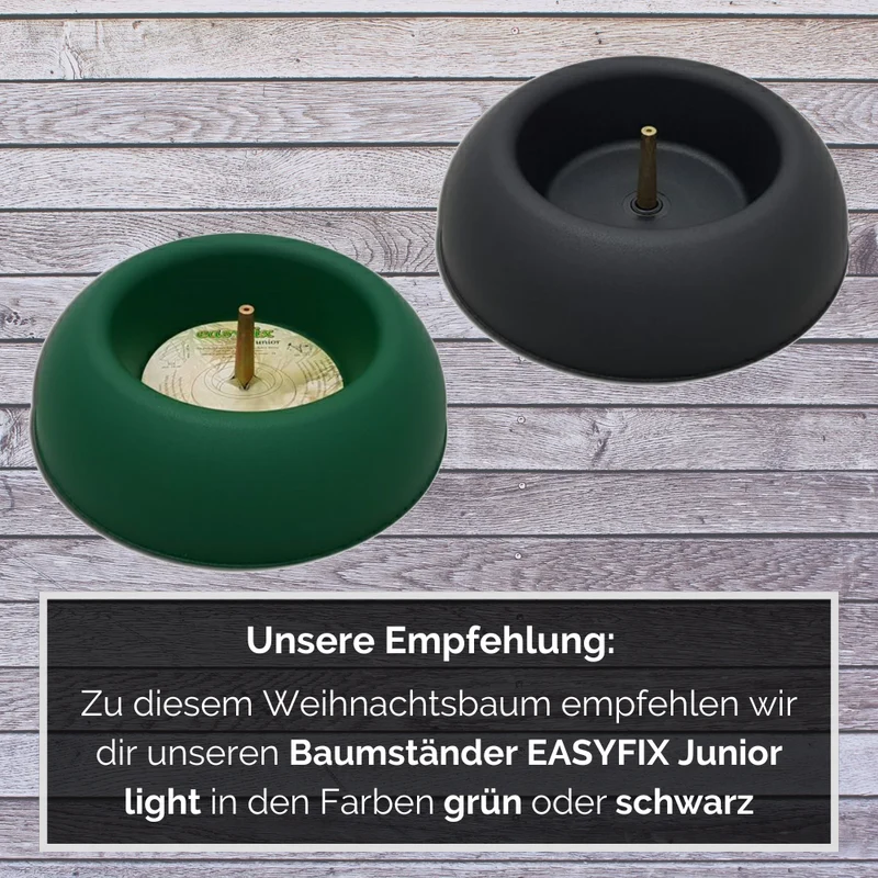 BIO Weihnachtsbaum Nordmanntanne M 125-150 cm