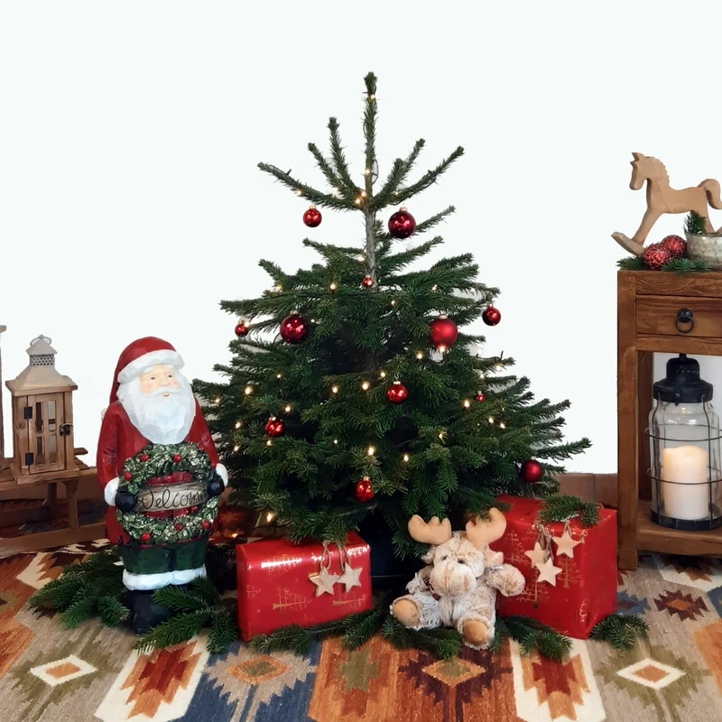 BIO Weihnachtsbaum Nordmanntanne S 100-125 cm
