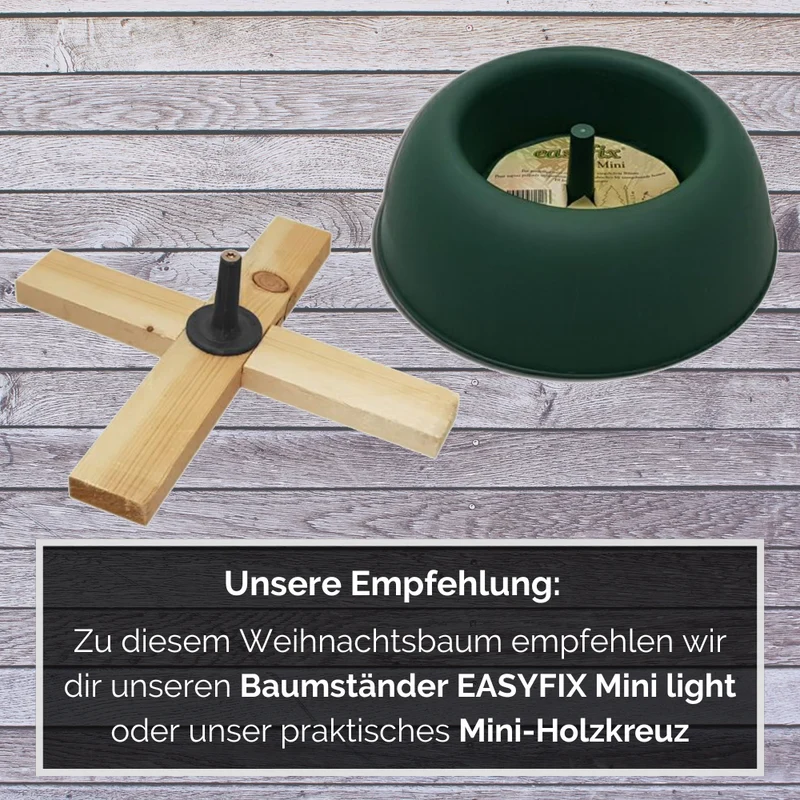 BIO Weihnachtsbaum Nordmanntanne S 100-125 cm