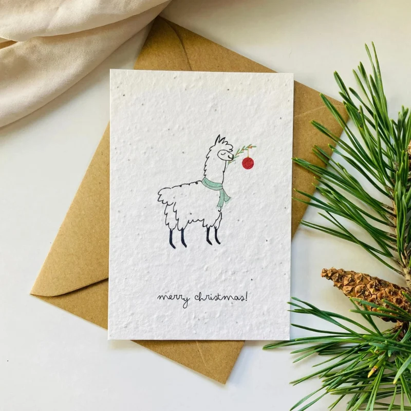 Einpflanzbare Postkarte – Weihnachten (versch. Designs)