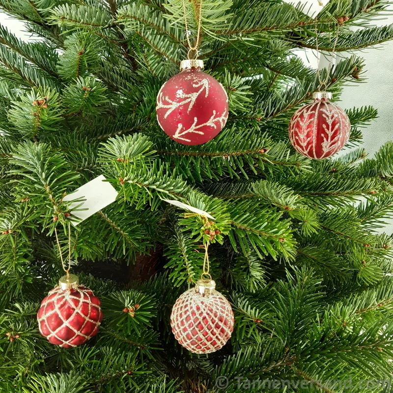 Weihnachtskugel aus Glas Rot Gold 6 cm 12er Set