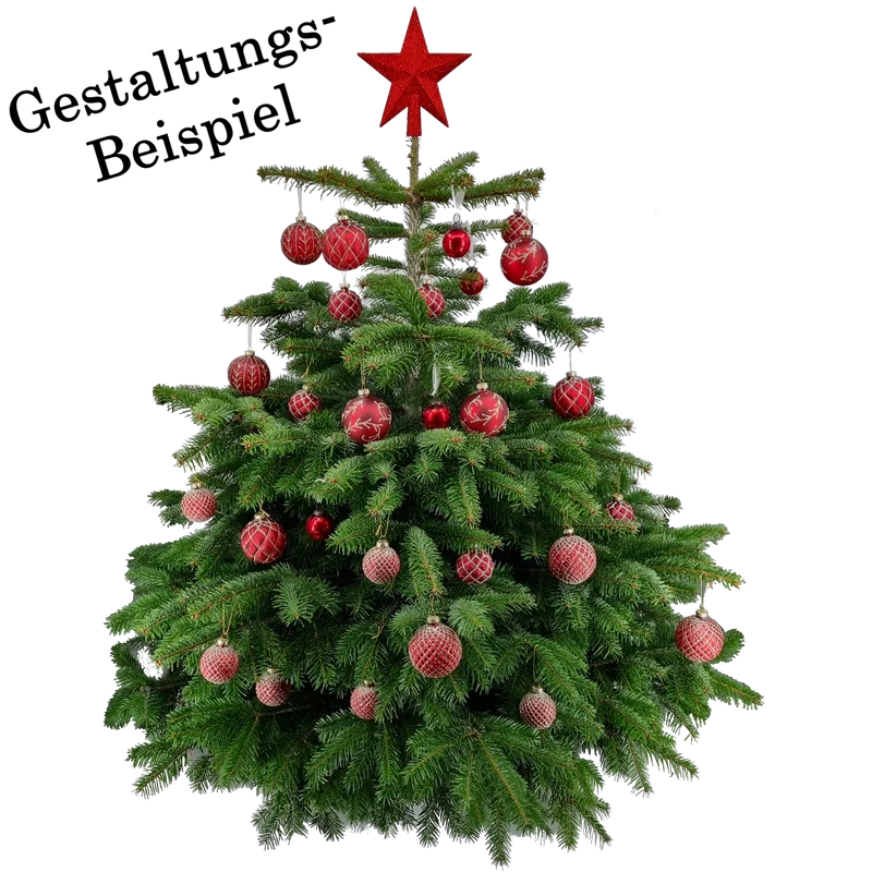 Weihnachtskugel aus Glas Rot Gold 6 cm 12er Set