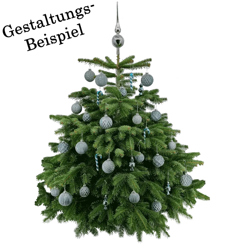 Weihnachtskugel aus Glas Türkis Silber 6 cm 12er Set