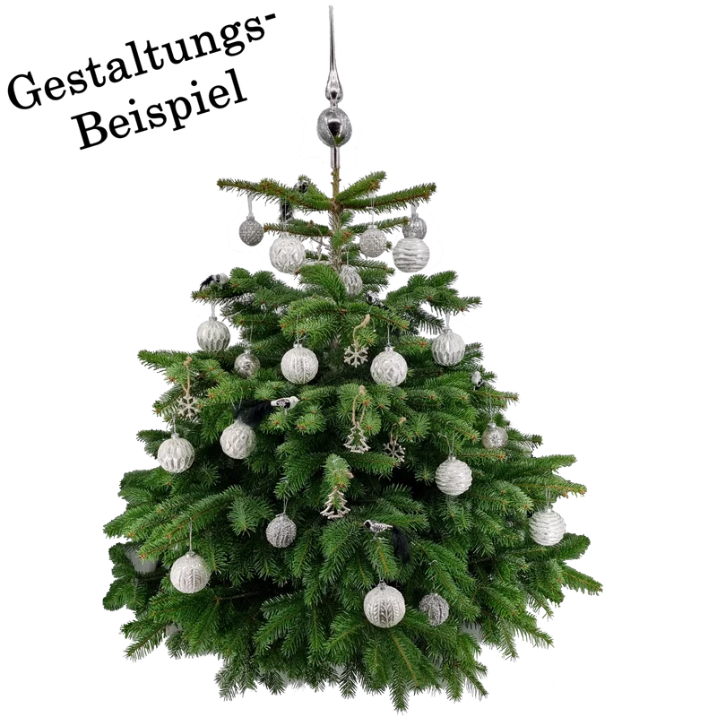 Weihnachtskugel aus Glas Silber 6 cm 12er Set