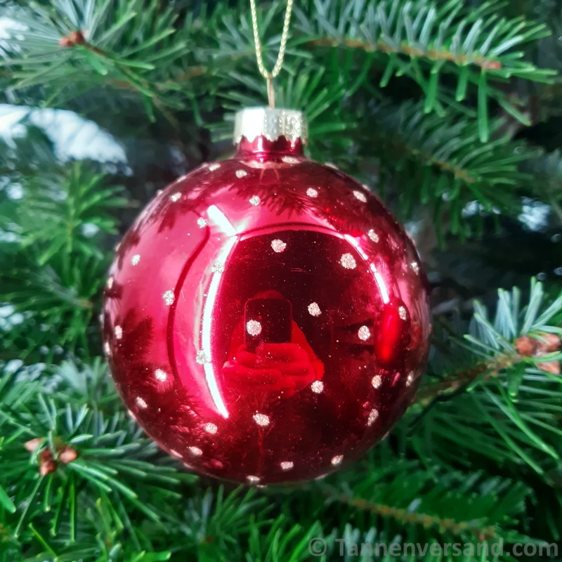 Weihnachtskugel aus Glas Rot Gold 8 cm 12er Set