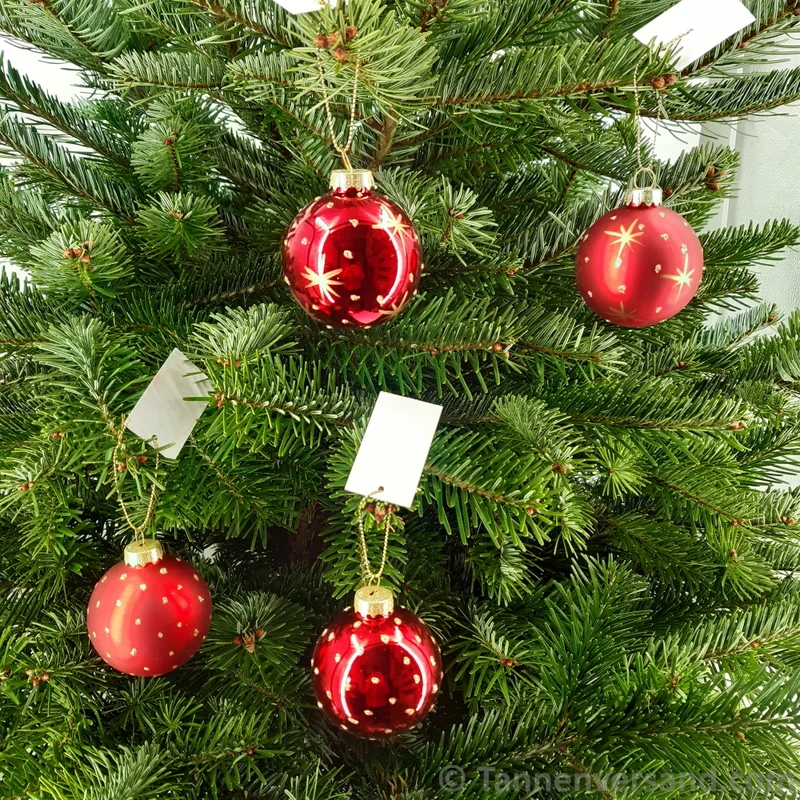 Weihnachtskugel aus Glas Rot Gold 6 cm 12er Set