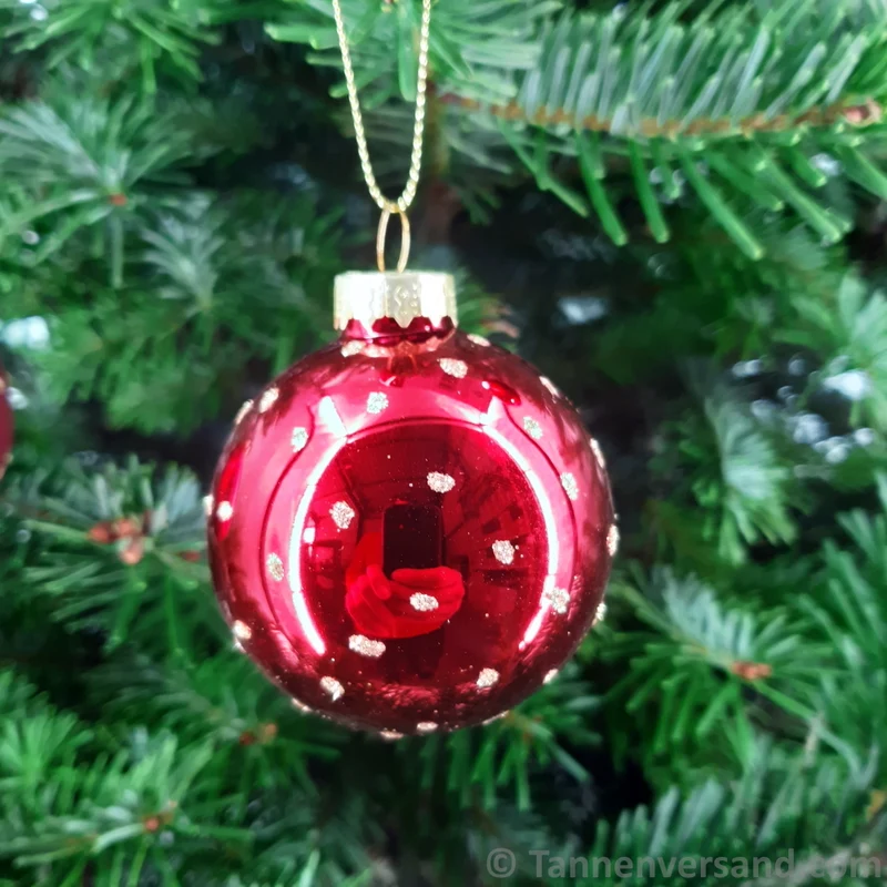 Weihnachtskugel aus Glas Rot Gold 6 cm 12er Set