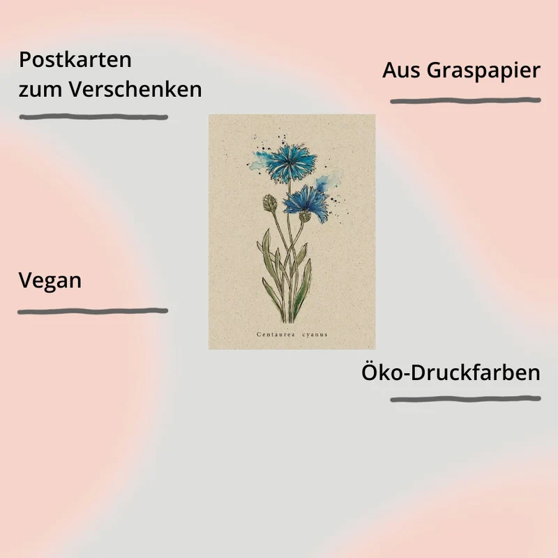 Postkarte aus Graspapier (versch. Designs)