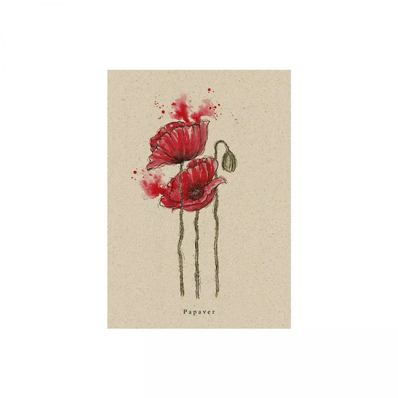 Postkarte aus Graspapier (versch. Designs)