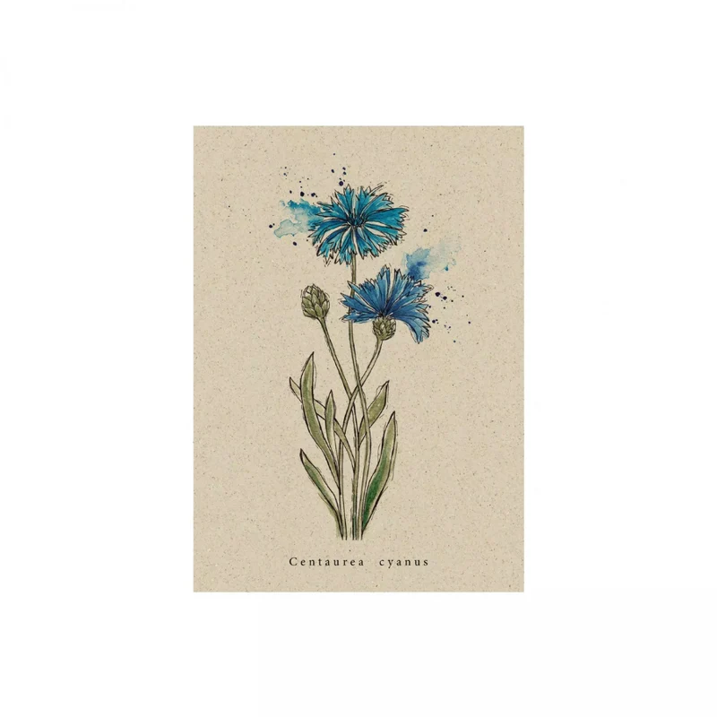 Postkarte aus Graspapier (versch. Designs)