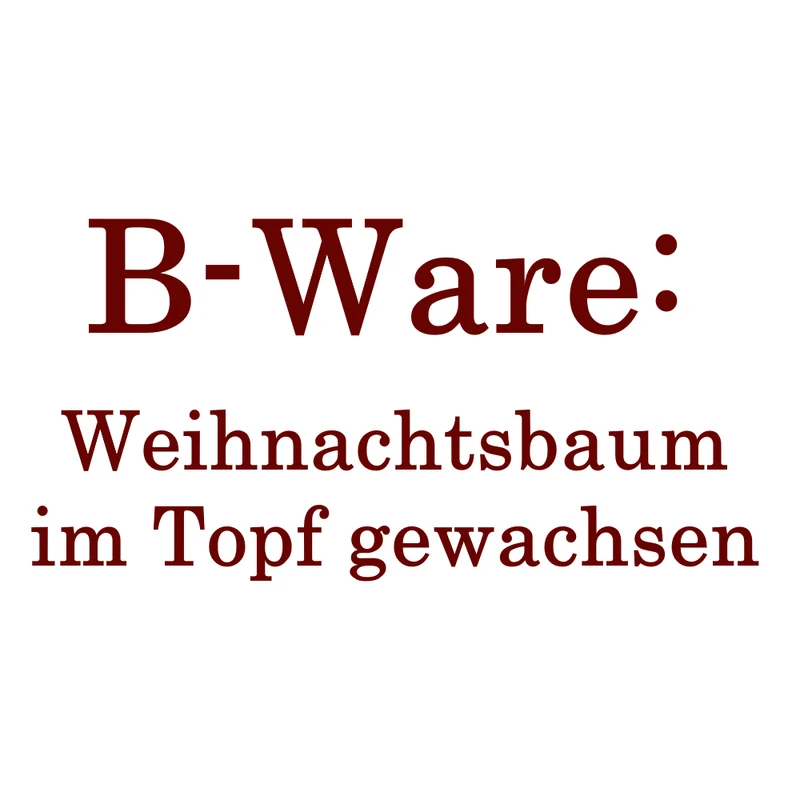 Topfbaum B-WARE: Verschiedene Sorten