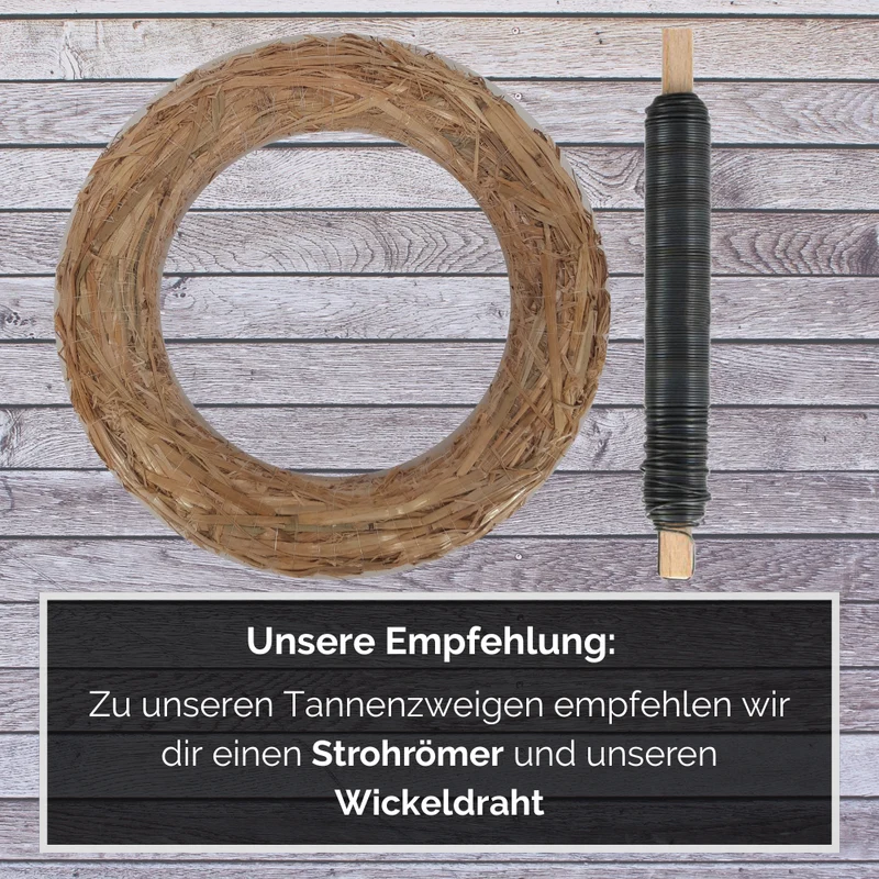 Tannenzweige Nobilistanne frisches Tannengrün