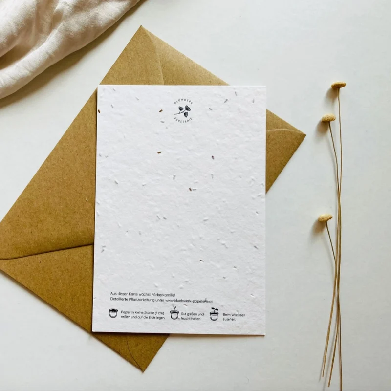 Einpflanzbare Postkarte – Geburtstag (versch. Designs)