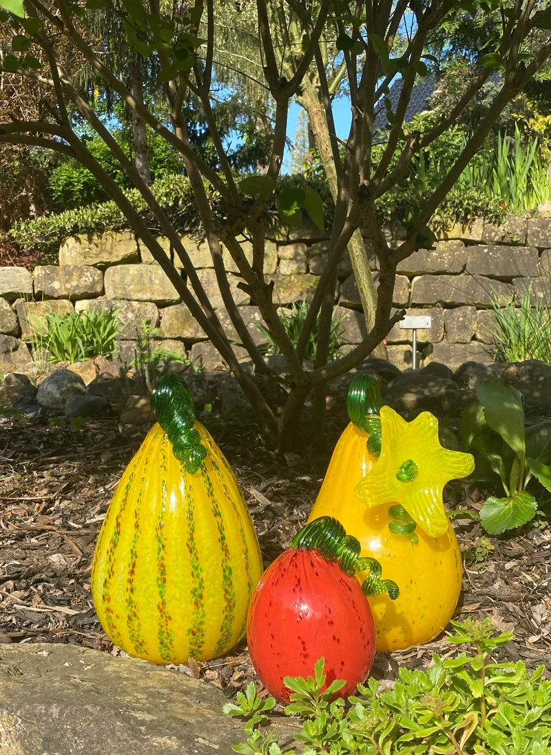 Kürbis Gemüse mit Blüte 30cm Glas Früchte Figuren Küche Vitrine Sammeln Glaskunst