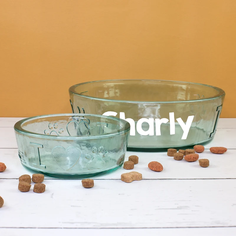 Hundenapf aus Glas personalisiert mit Name | Fressnapf für Hunde als Geschenkidee | 2 Größen