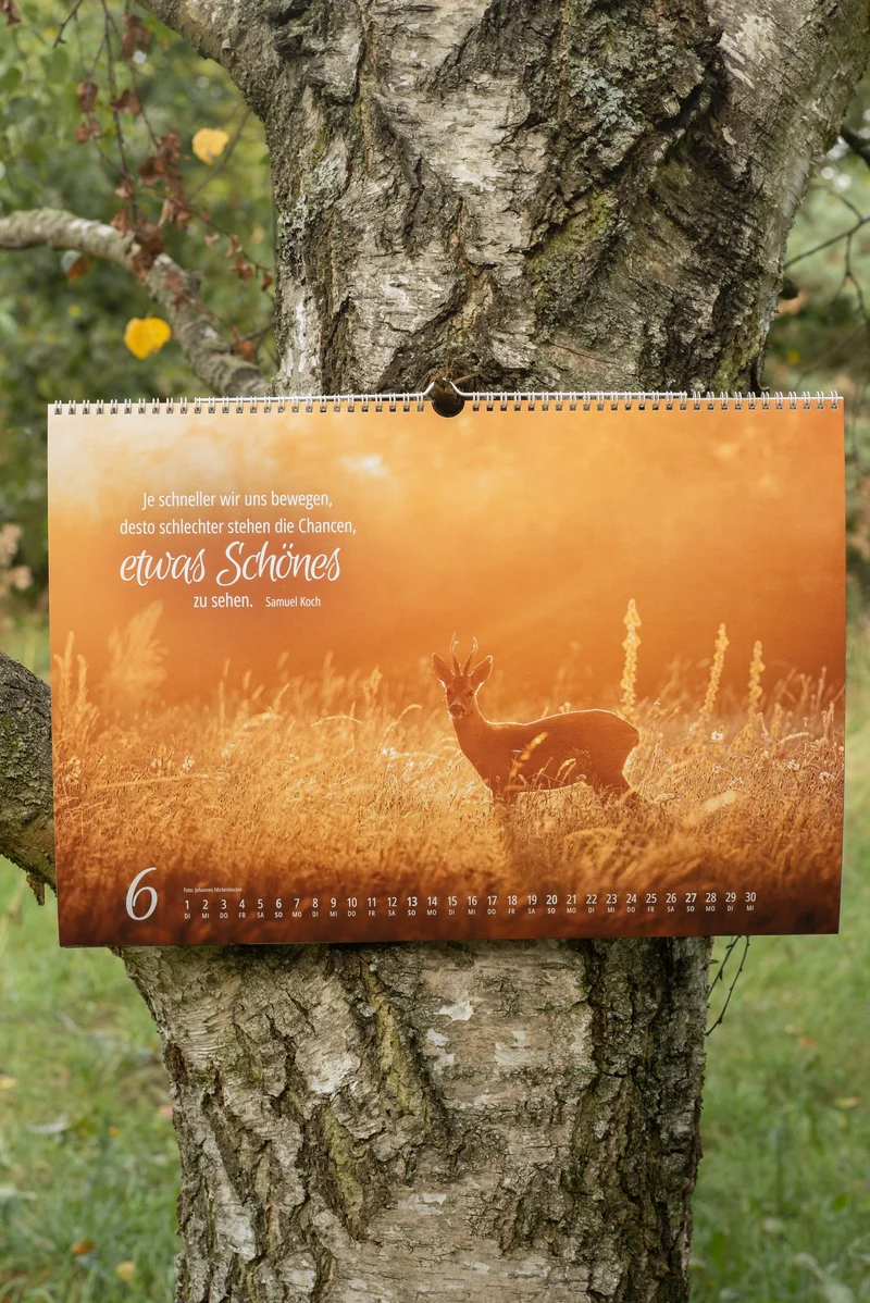 Johannes Naturfotografie - Wandkalender 2027