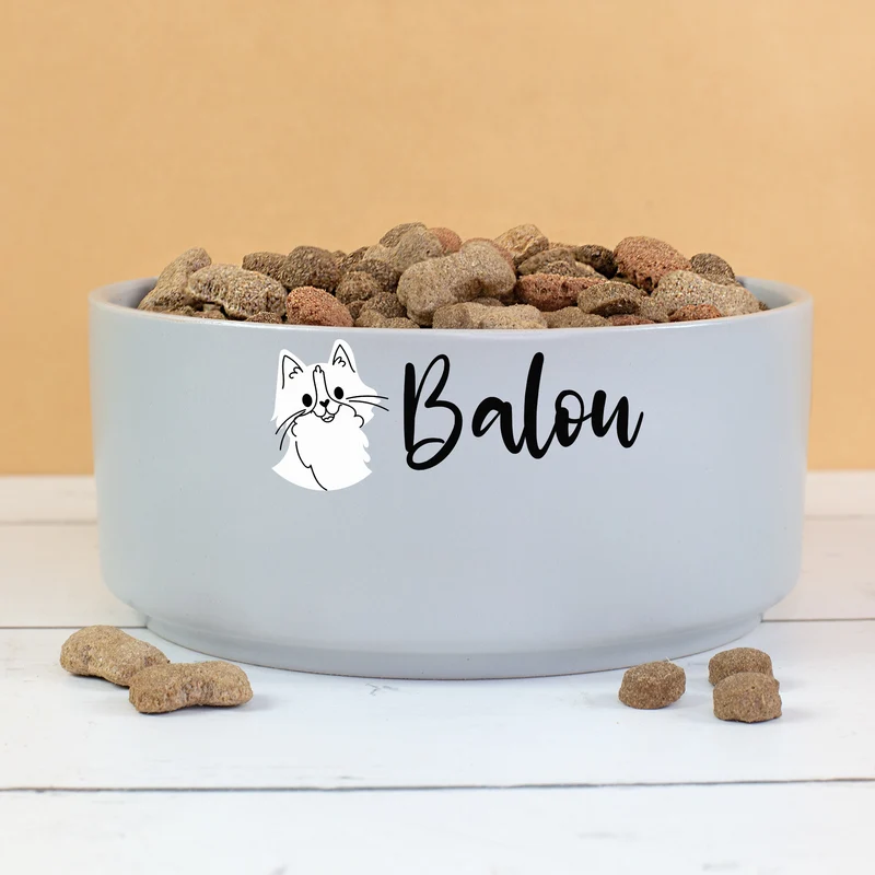 Personalisierter Fressnapf für Katzen mit Name | 880 ml Katzennapf von Ritzenhoff & Breker