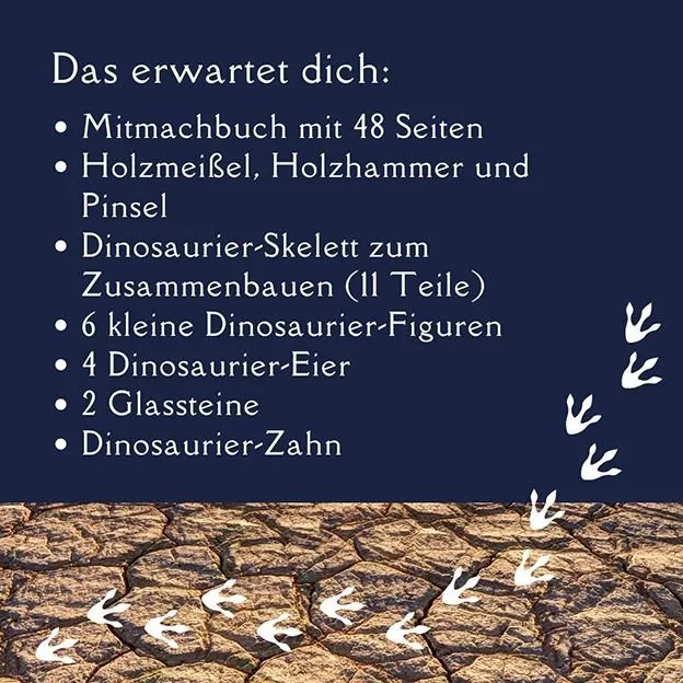 Topp Verlag Ausgrabungsadventskalender - Dinosaurier