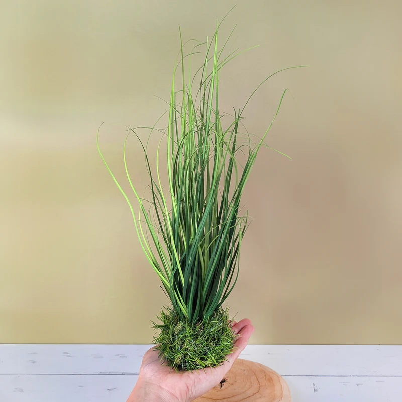 Kunstgras als Dekoration | Hochwertige Kunstpflanze Gras | 28 cm