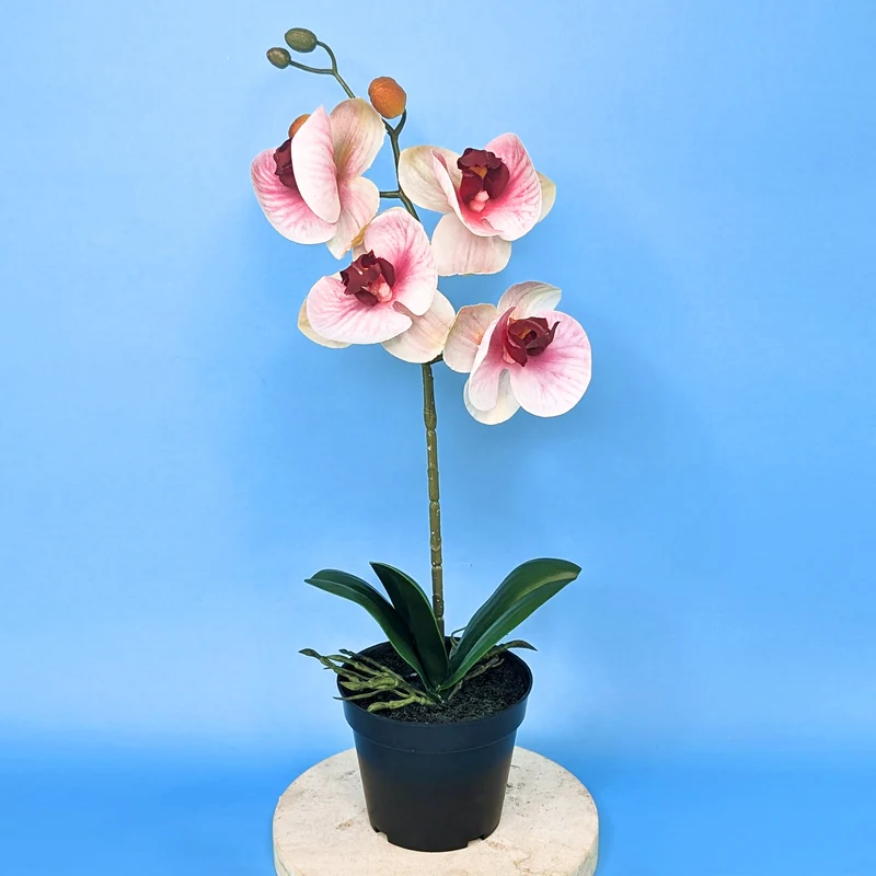 Orchidee Seidenblume | Hochwertige Kunstblume mit Topf | 35 cm
