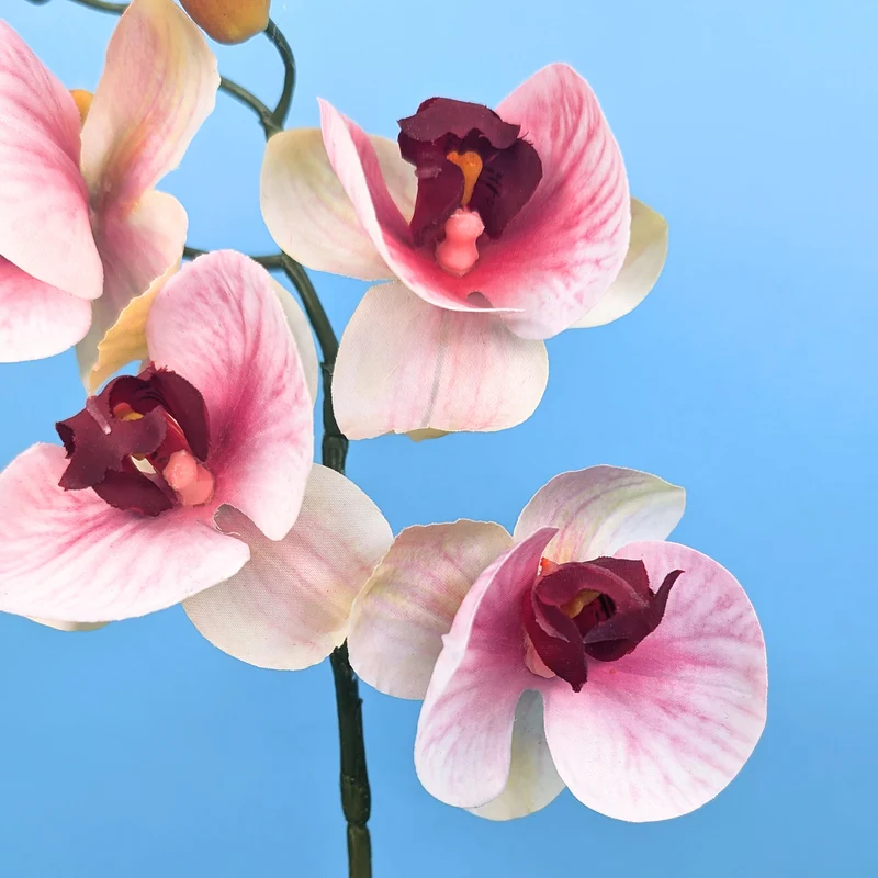 Orchidee Seidenblume | Hochwertige Kunstblume mit Topf | 35 cm