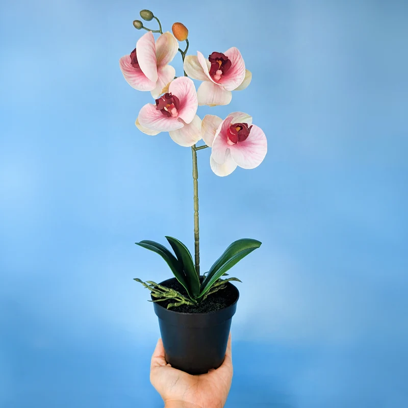 Orchidee Seidenblume | Hochwertige Kunstblume mit Topf | 35 cm