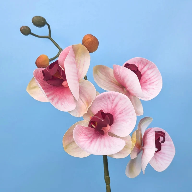 Orchidee Seidenblume | Hochwertige Kunstblume mit Topf | 35 cm
