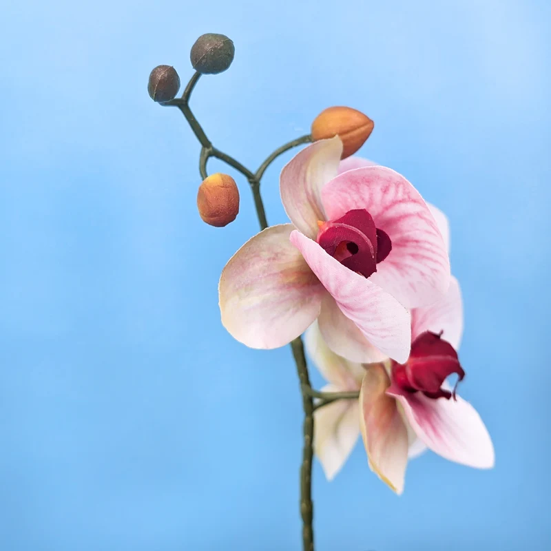 Orchidee Seidenblume | Hochwertige Kunstblume mit Topf | 35 cm