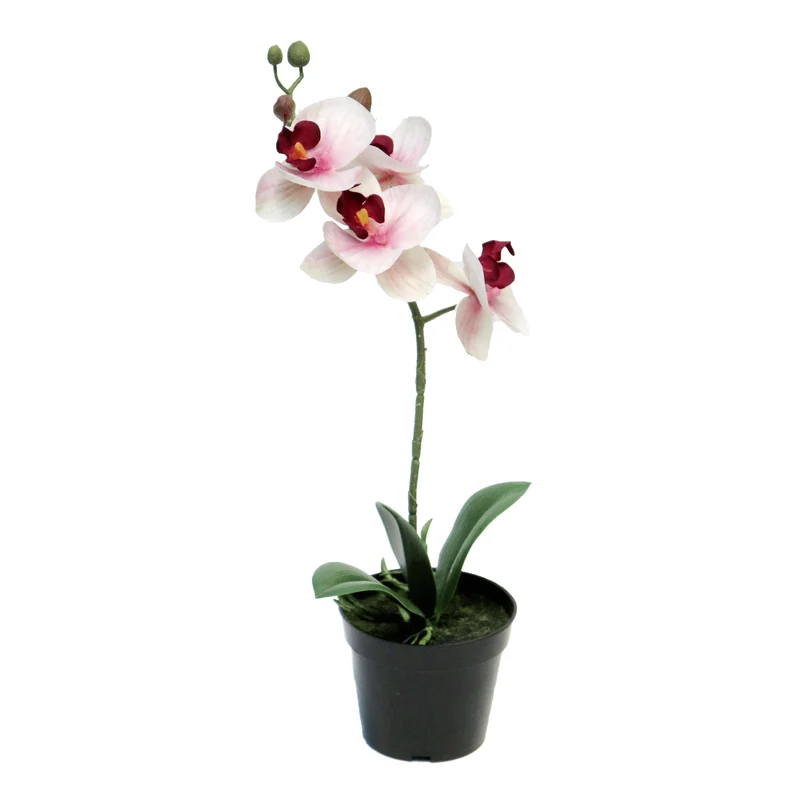 Orchidee Seidenblume | Hochwertige Kunstblume mit Topf | 35 cm
