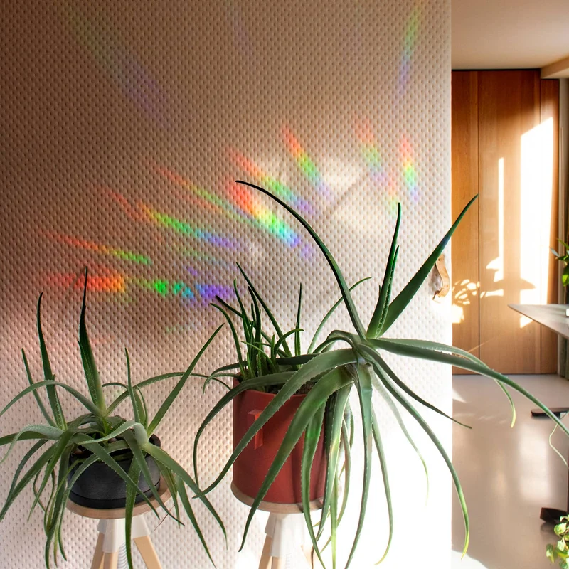 botanopia Regenbogen Aufkleber - florieren