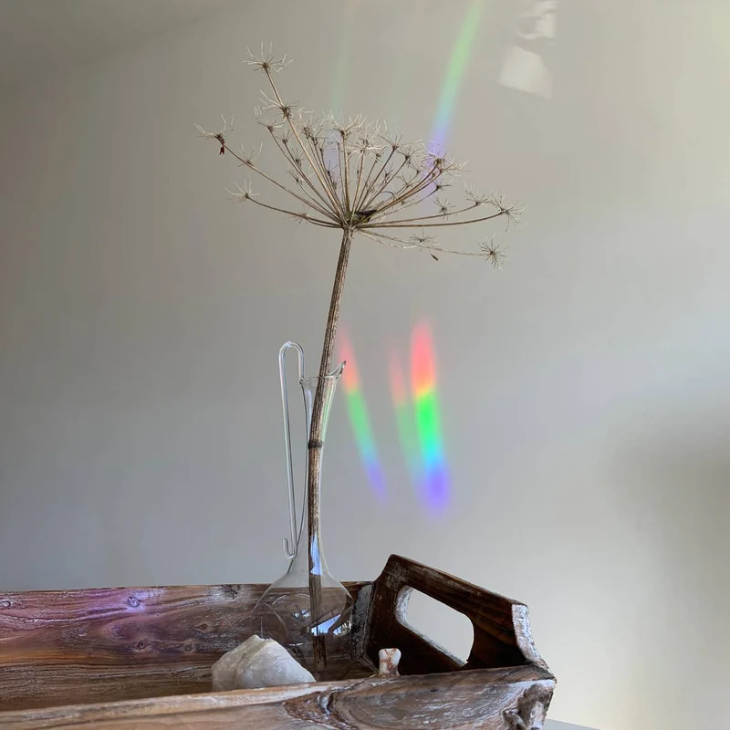 botanopia Regenbogen Aufkleber - florieren