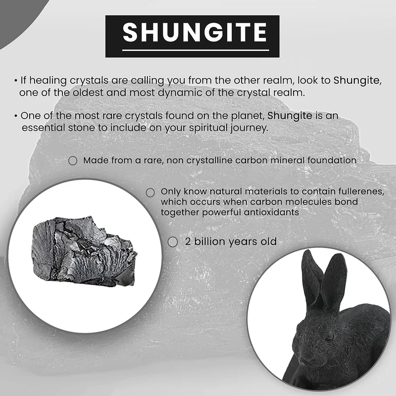 Rabbit Shungite Figurine 3.25x4.25