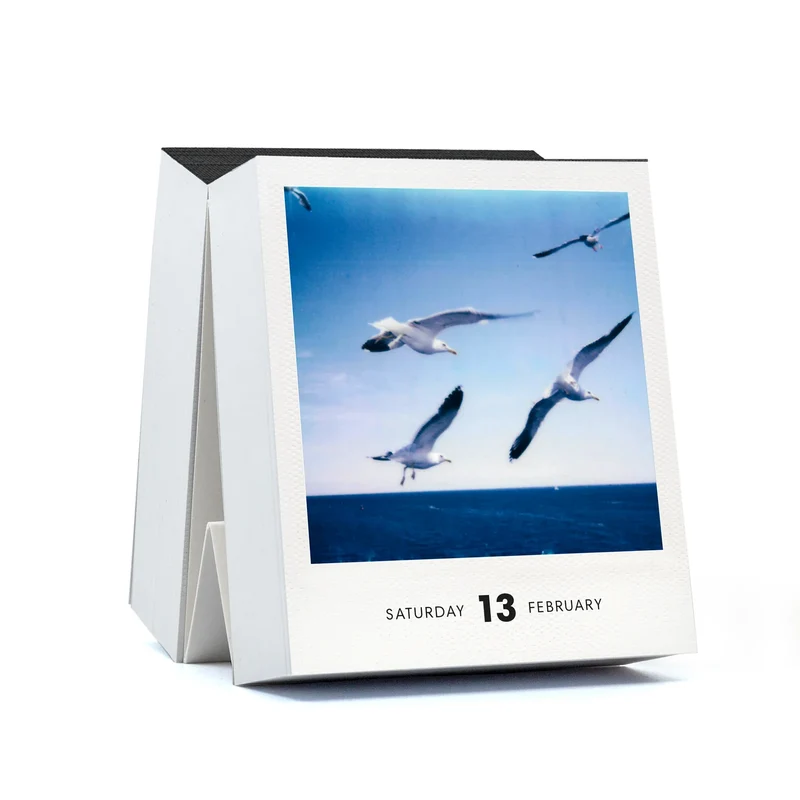 Abreißkalender “Photodarium” 2027 | Sofortbildkunst | Seltmann Publishers