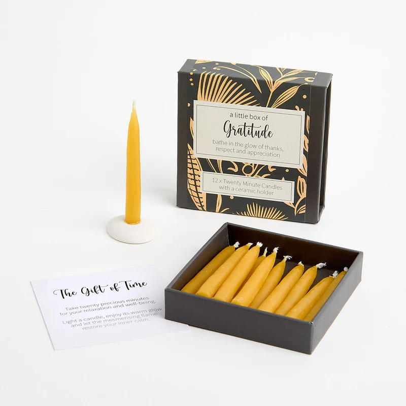 Kerzen “Twenty Minute Candles Gratitude” | 12 Ritualkerzen mit Halter | Cotton & Grey