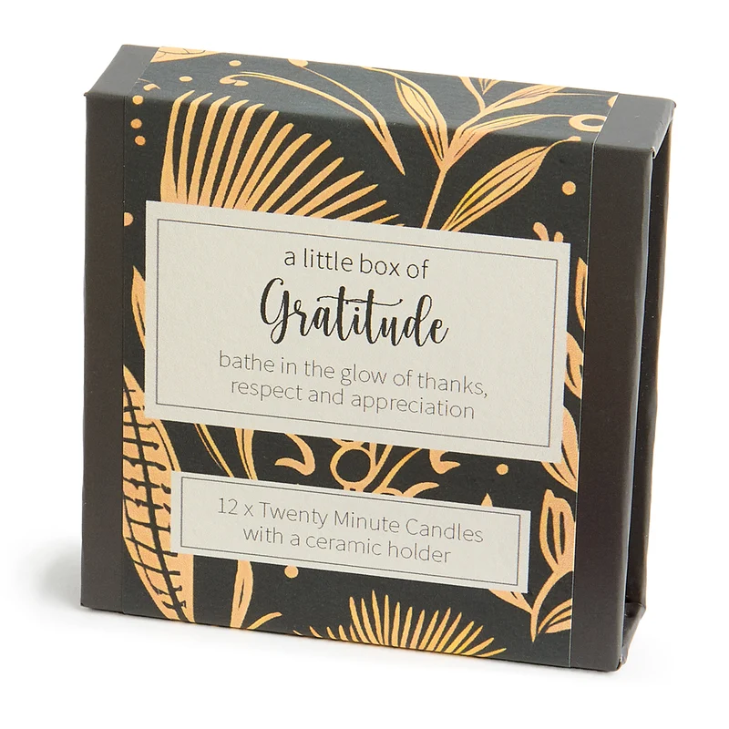 Kerzen “Twenty Minute Candles Gratitude” | 12 Ritualkerzen mit Halter | Cotton & Grey