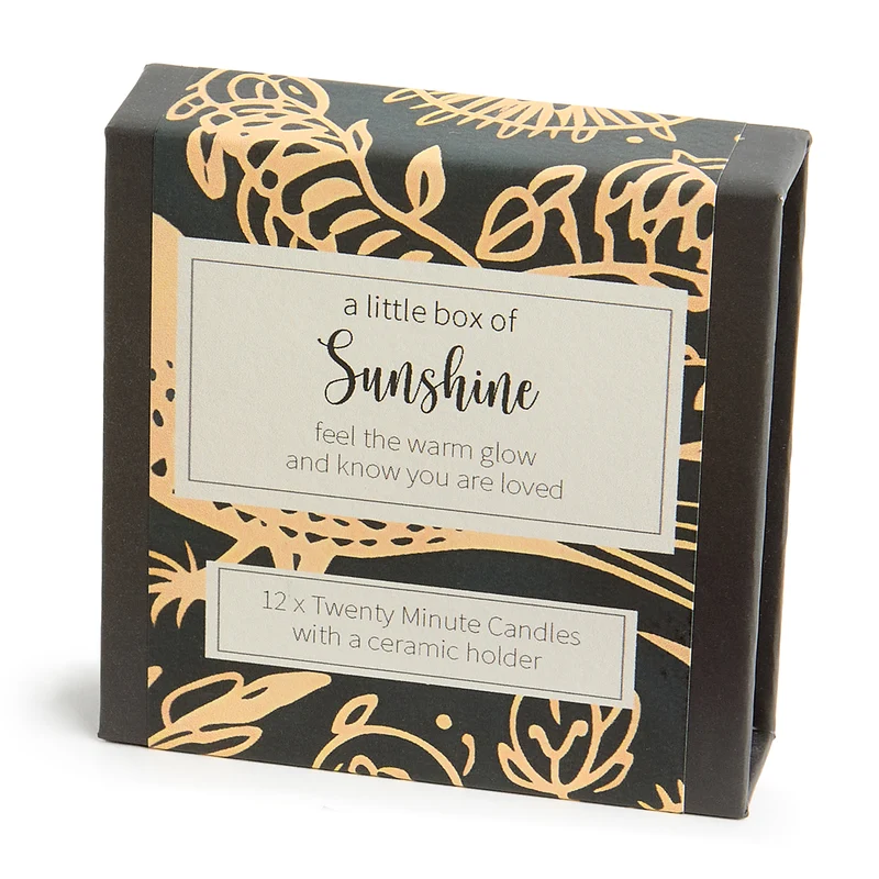Kerzen “Twenty Minute Candles Sunshine” | 12 Ritualkerzen mit Halter | Cotton & Grey
