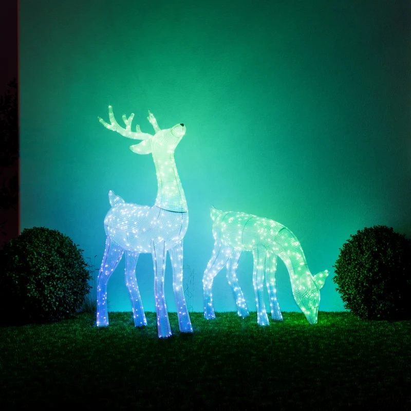 Reindeers
