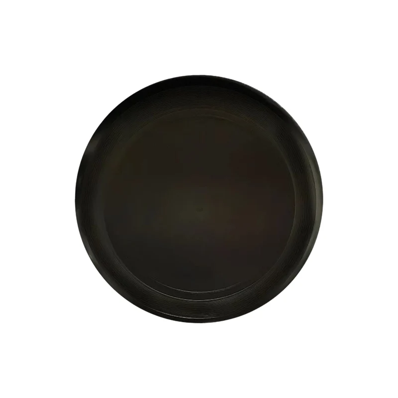 CFI01 PE Frisbee