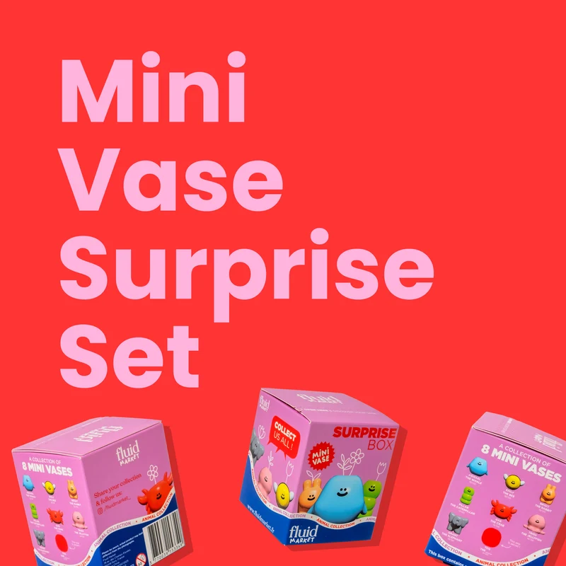 Mini Vase Surprise Box (4er Set) | Überraschungsvasen zum Sammeln
