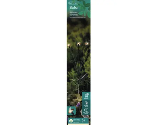 Solar Bienen Stecker