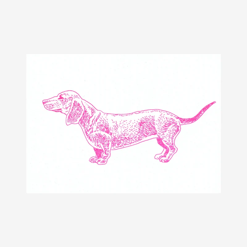 Dackel Fluo Pink Riso-Postkarte