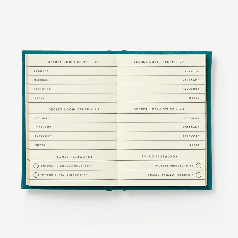 Definitely Not My Passwords - Passwort Notizbuch