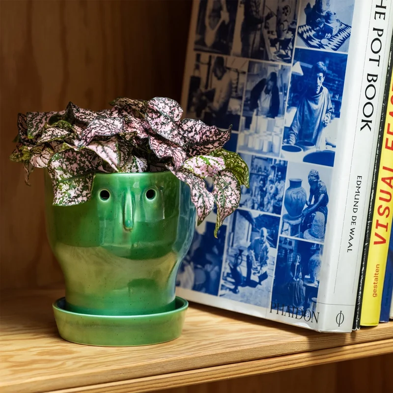 Fnoobie Botanic Pot Small