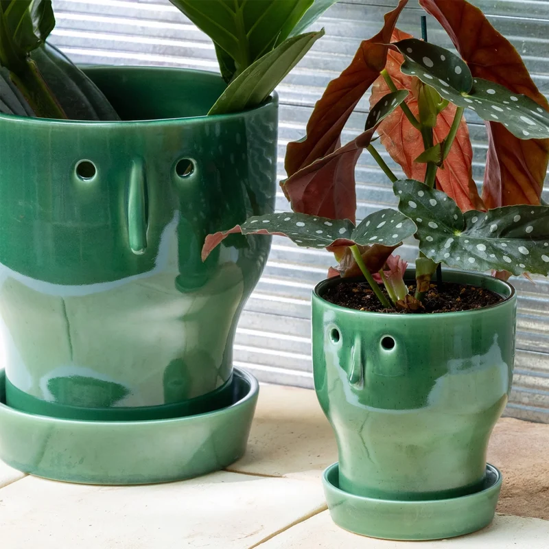 Fnoobie Botanic Pot Small