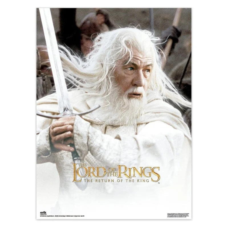 Der Herr der Ringe Poster 38 x 52 cm 2er Set
