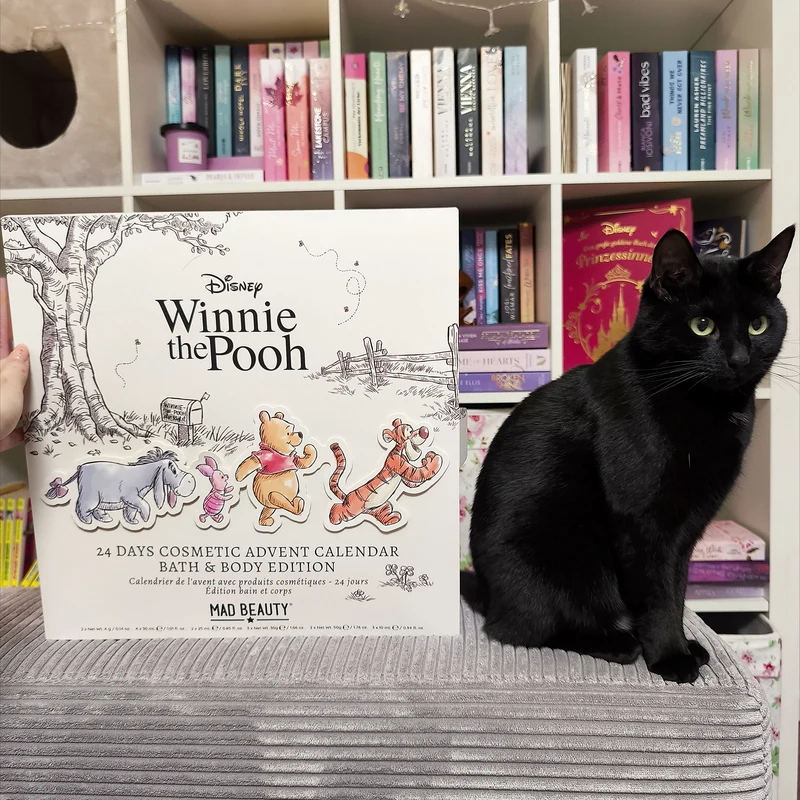Winnie Puuh - Adventskalender