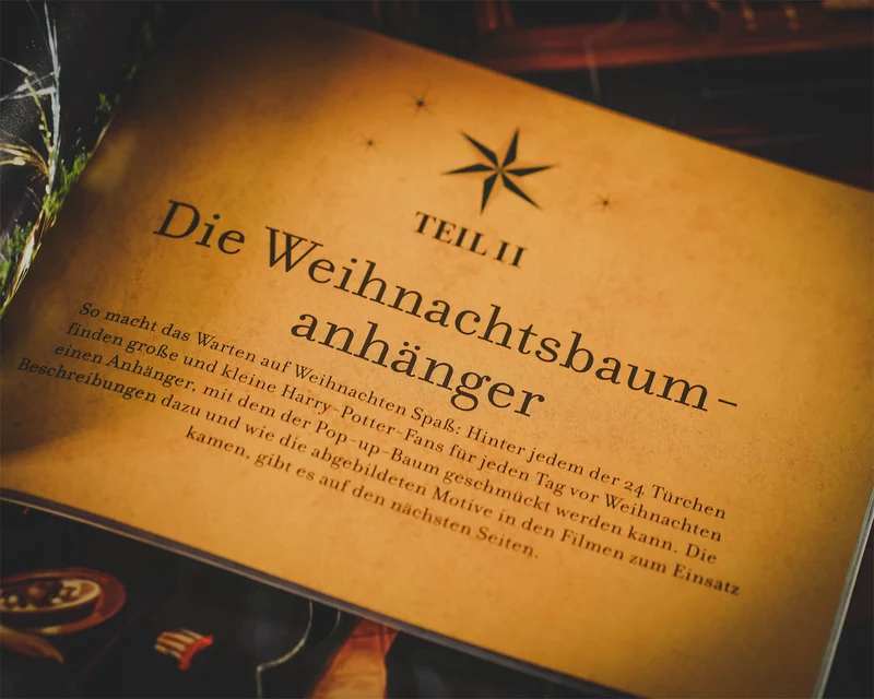 Harry Potter - Weihnachten in Hogwarts - Das große Adventskalenderbuch
