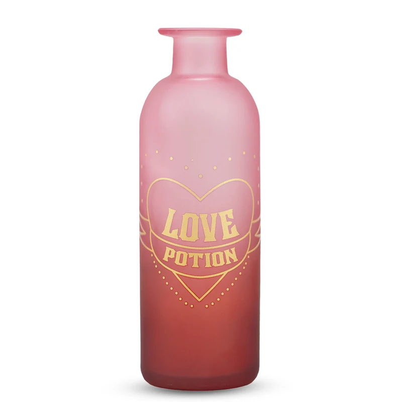 Harry Potter - Zaubertrank Vase
