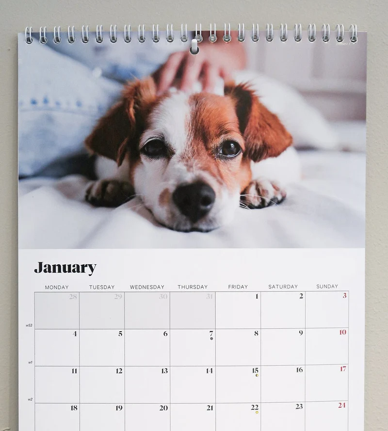 Haken - Selbstklebender Haken für Wandkalender
